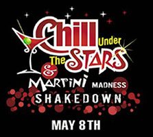 chill under the stars poster
